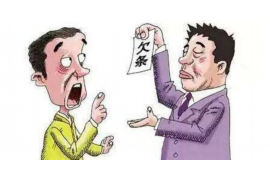 儋州为什么选择专业追讨公司来处理您的债务纠纷？